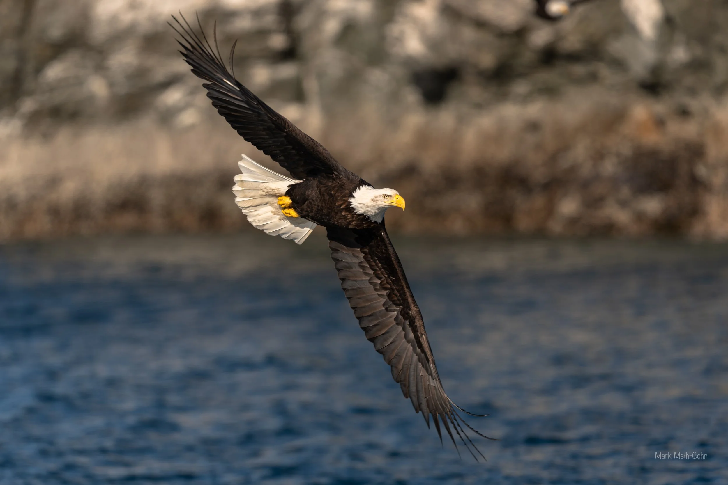 Alaska (4 of 32).jpg