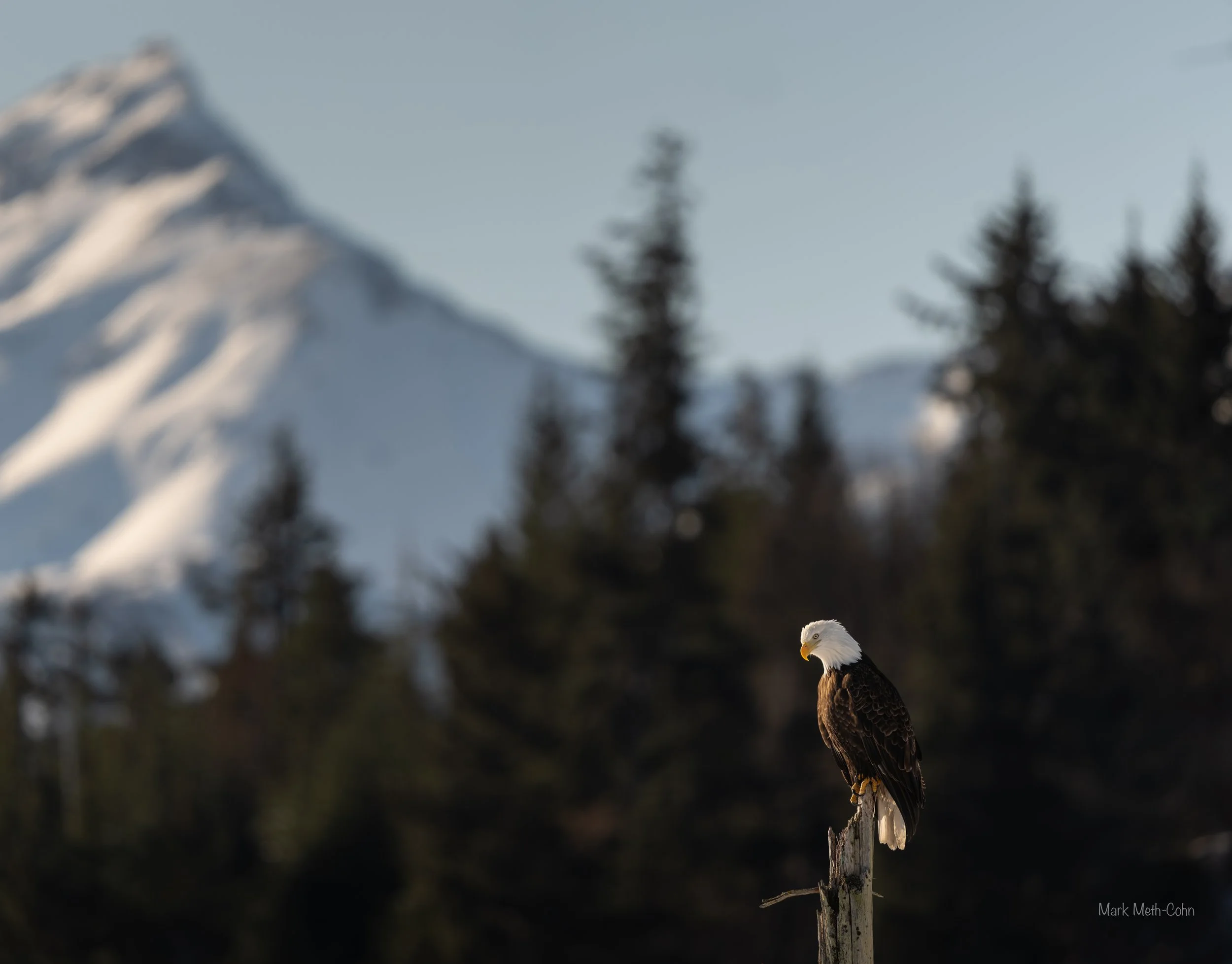 Alaska (7 of 32).jpg