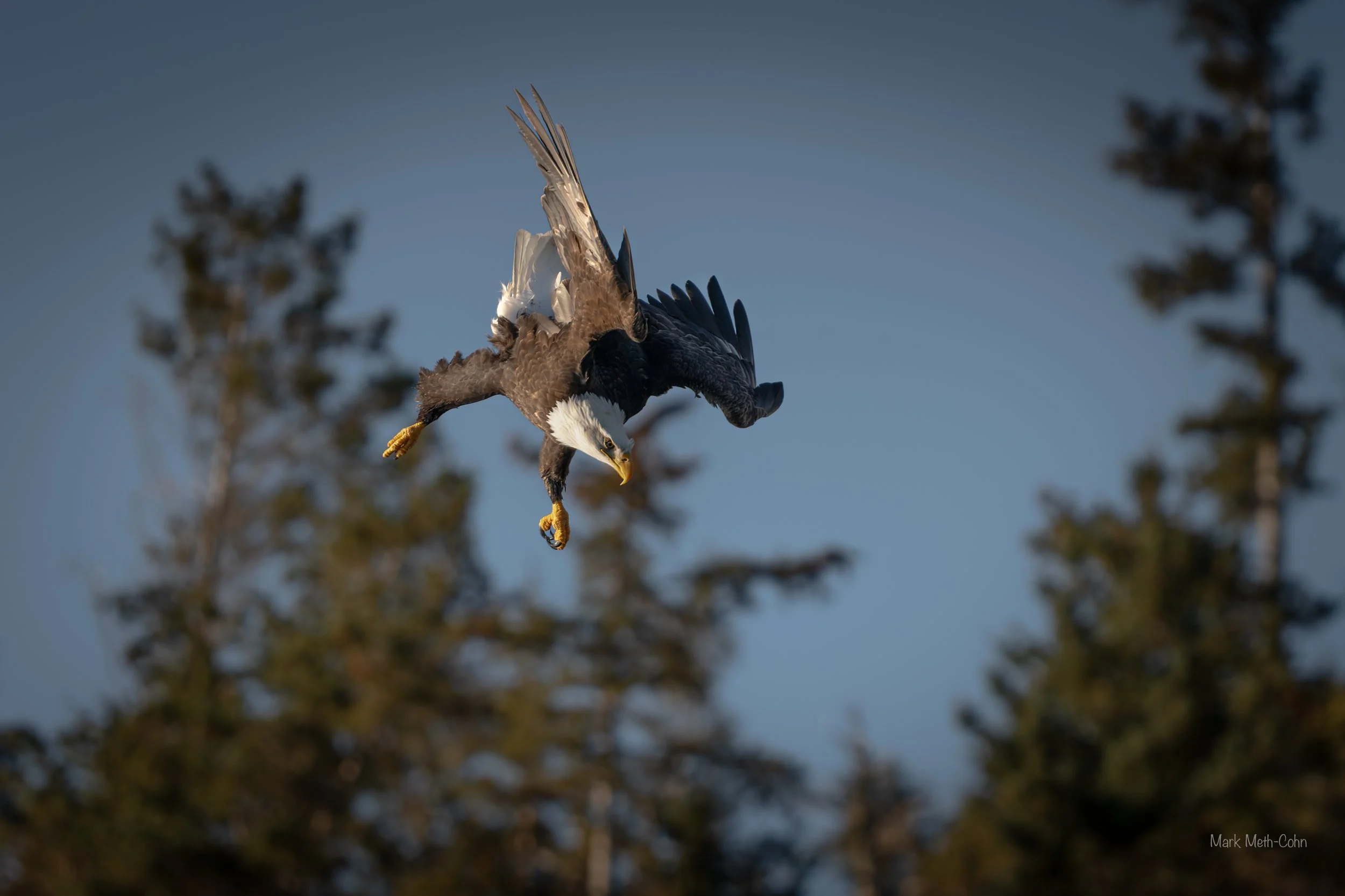 Alaska (3 of 32).jpg