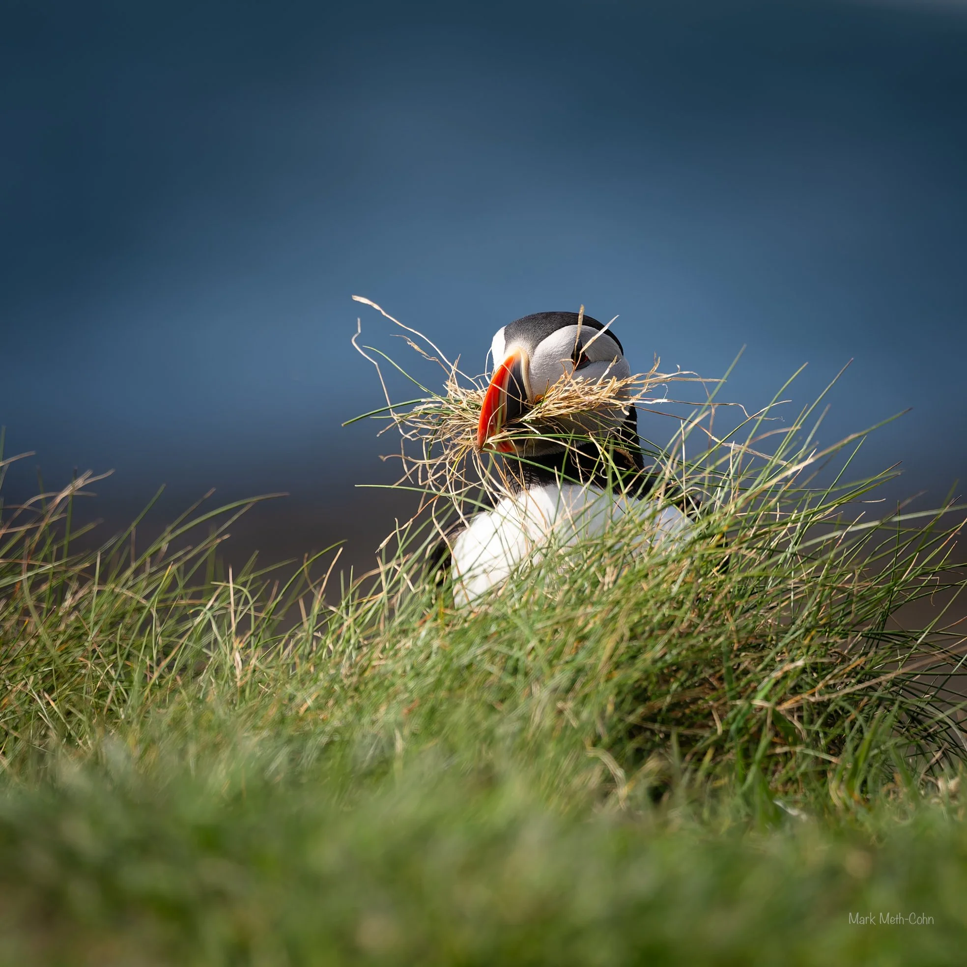 Lunga (6 of 6).jpg