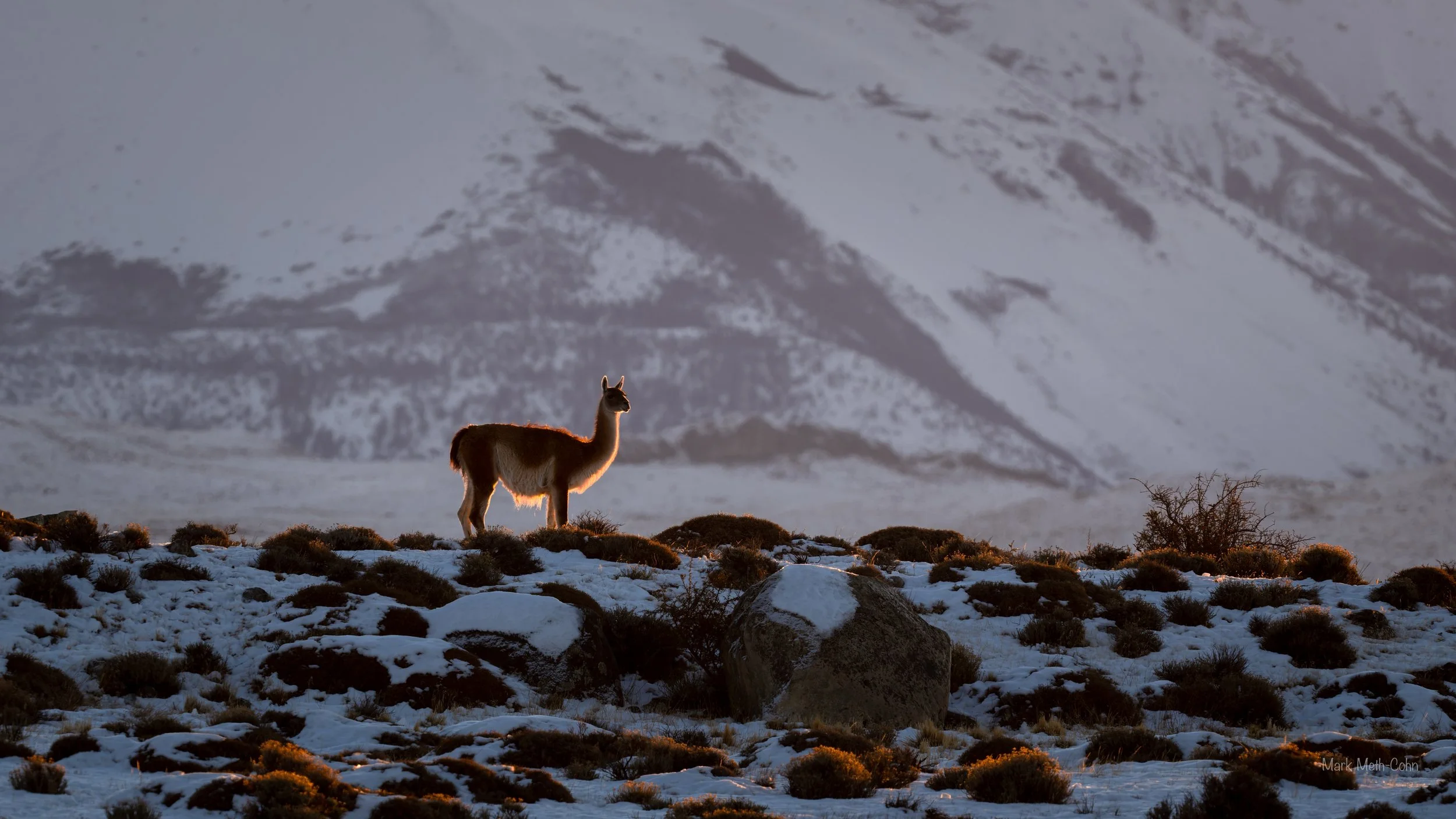 Chile (19 of 20).jpg