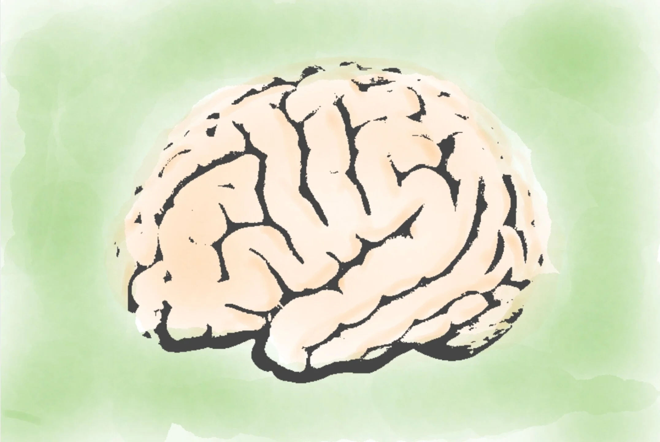 Learn Anything Faster by Asking 4 Simple Questions.