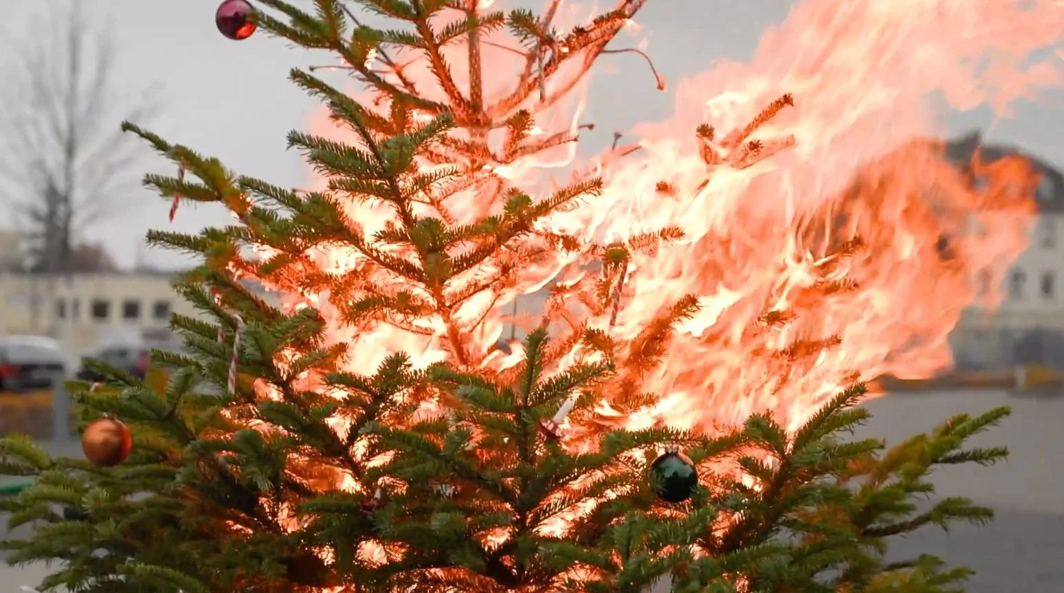 2023-03-16 15.37.03.jpg