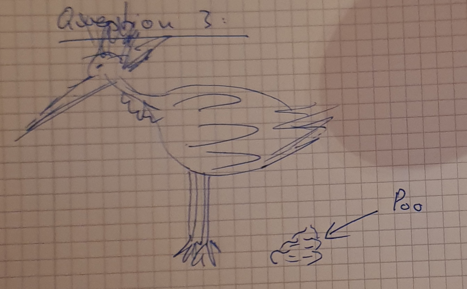 Team Frankfurz Finest