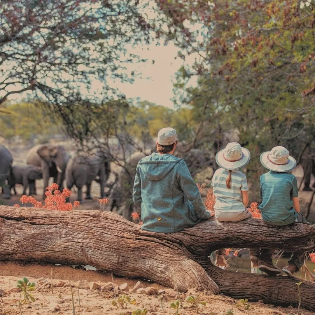 There's nothing better than when nature surprises you with its grace. This is never more evident when wildlife naturally stroll into your vision without acknowledging your presence 🐘🥰 #breathtakingmoments

#myzulustory#thetraveltribe #conscioustrav