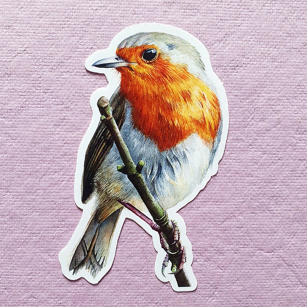 Robin Bird Stickers  40 Pcs Redbreast Bird Waterproof Vinyl