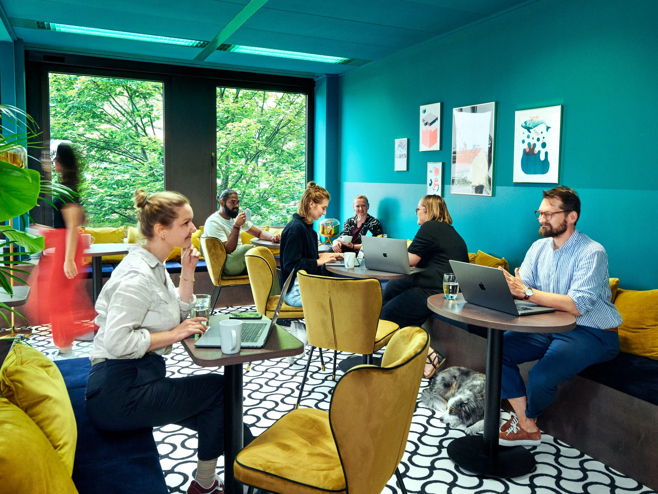 Team und Bürofotos SNK