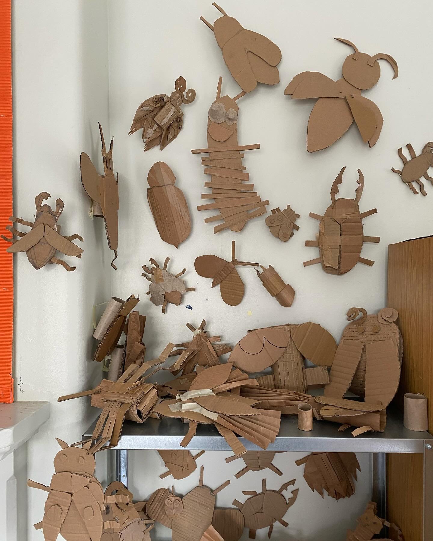 We&rsquo;re back to our brilliant BUGS this week. Using our new knowledge of those tiny, terrifyingly harmless little beasts that we often misunderstand, we are upscaling them, creating our very own species using wonderful versatile cardboard. We sha
