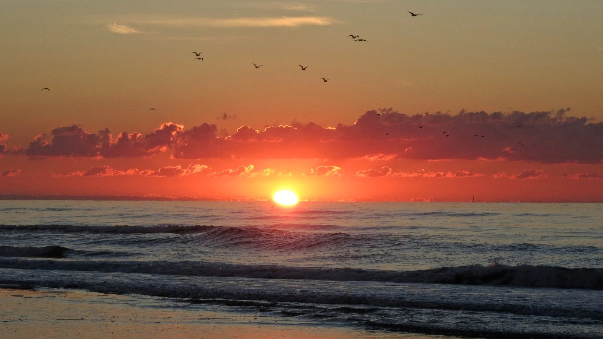18-birds-above-the-surf.jpg