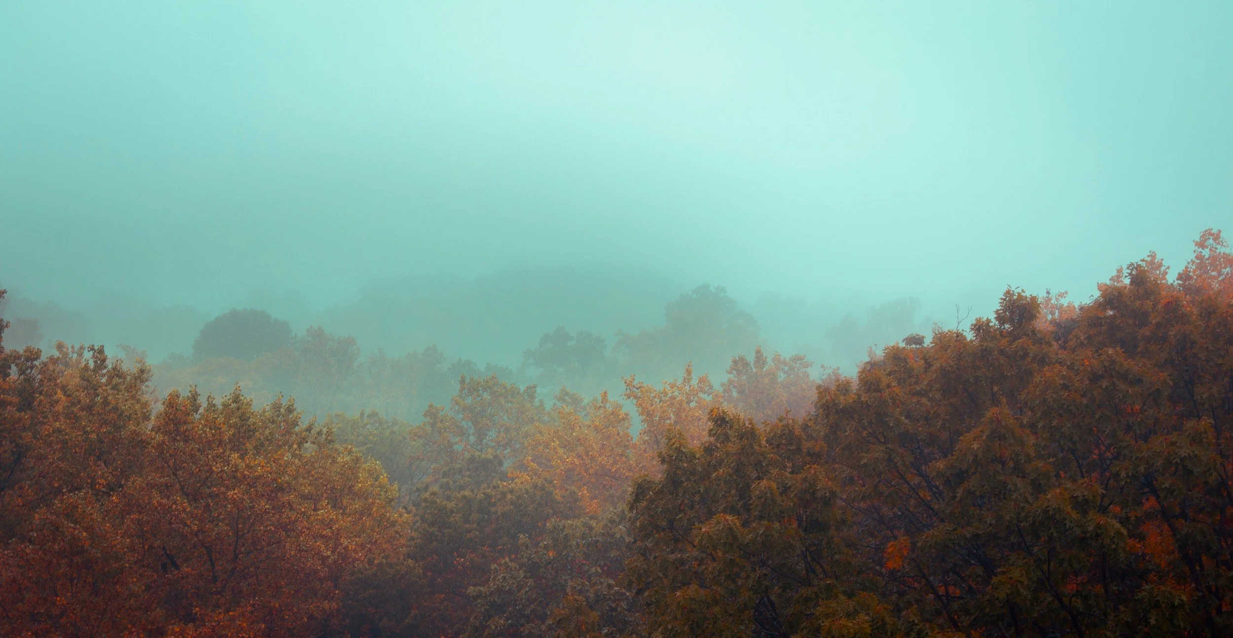 08-autumn-morning-in-fog.jpg