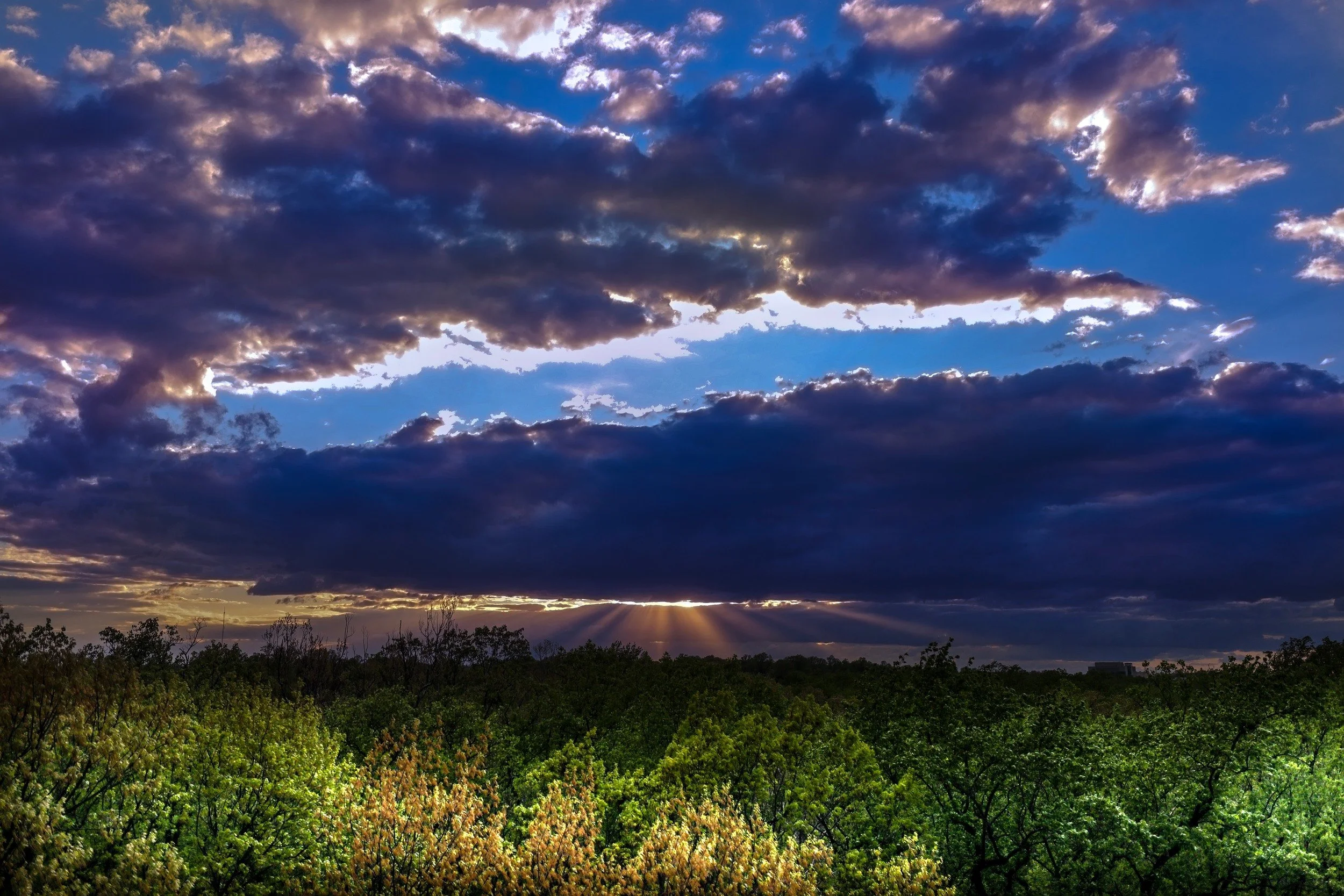 07-light-breaking-over-the-treeline.jpg