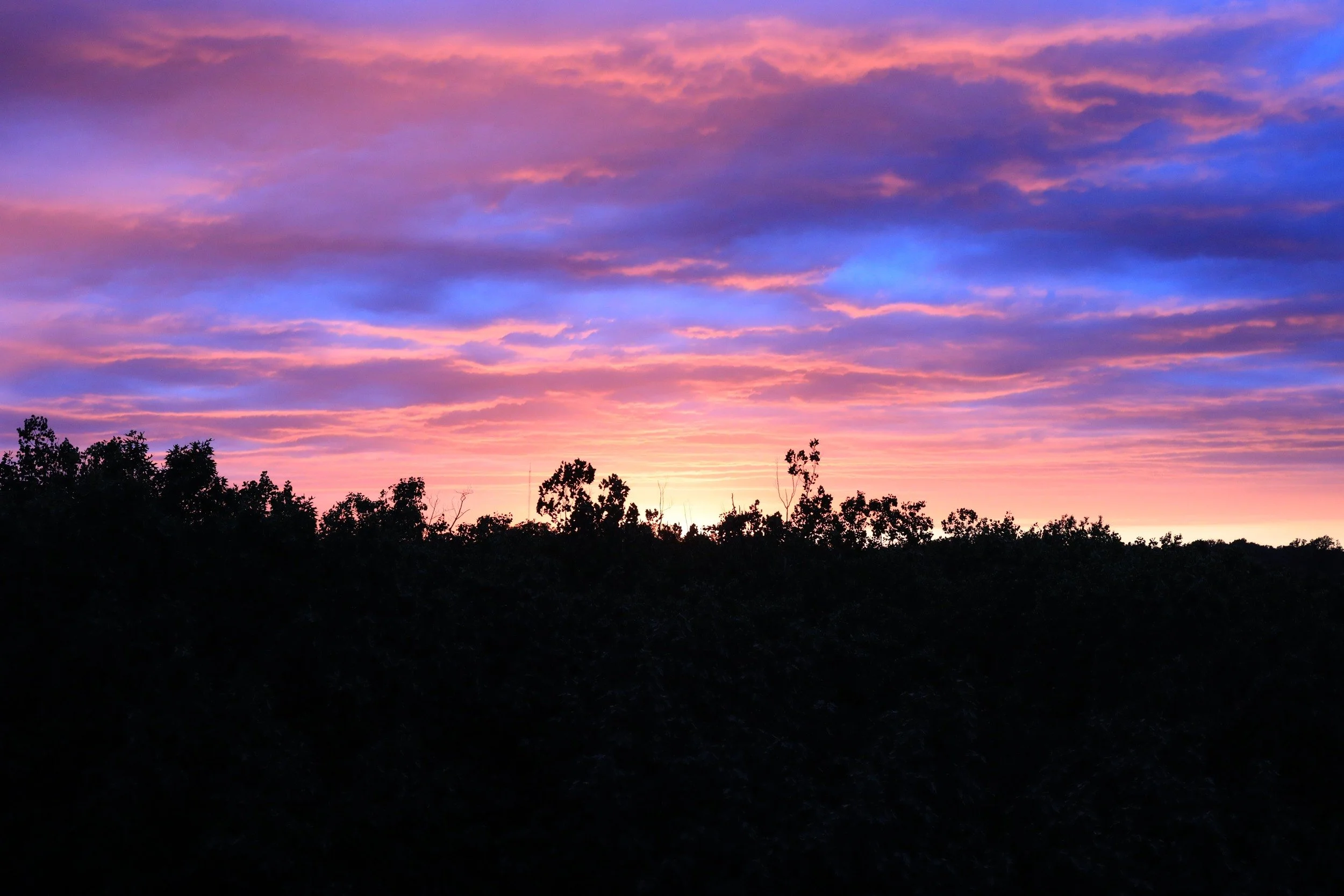 20-last-light-above-the-treeline.jpg