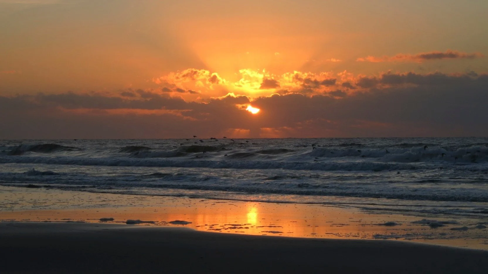 19-light-across-the-tideline.jpg