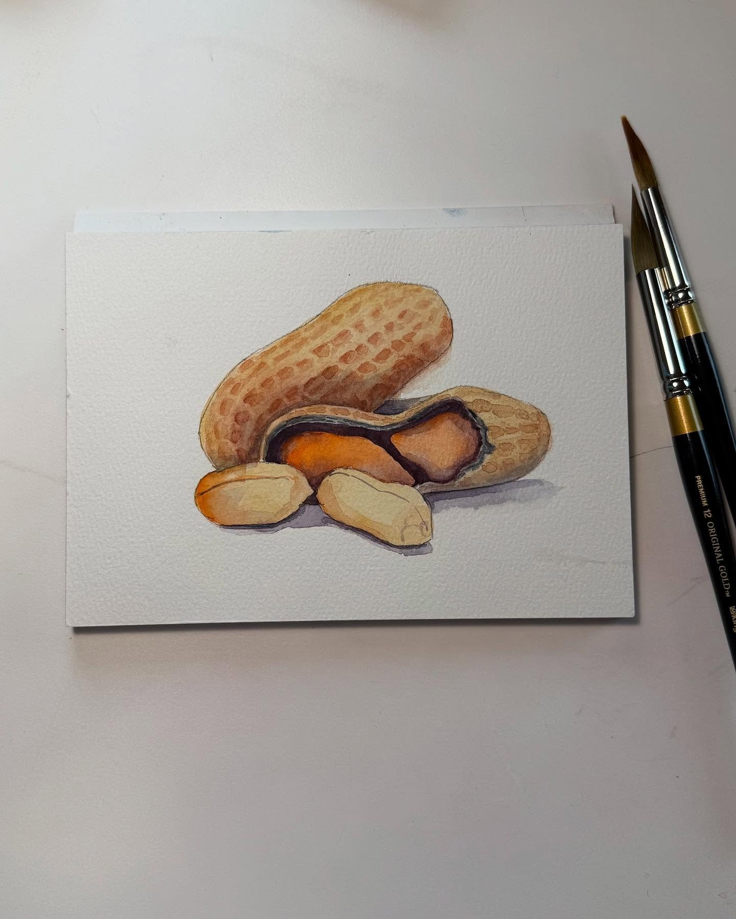 In today&rsquo;s online watercolor class, the goal was to use colors other than the obvious ones. So instead of shades of brown, we used oranges, blues, purples, yellows, and reds. And they still look like peanuts!