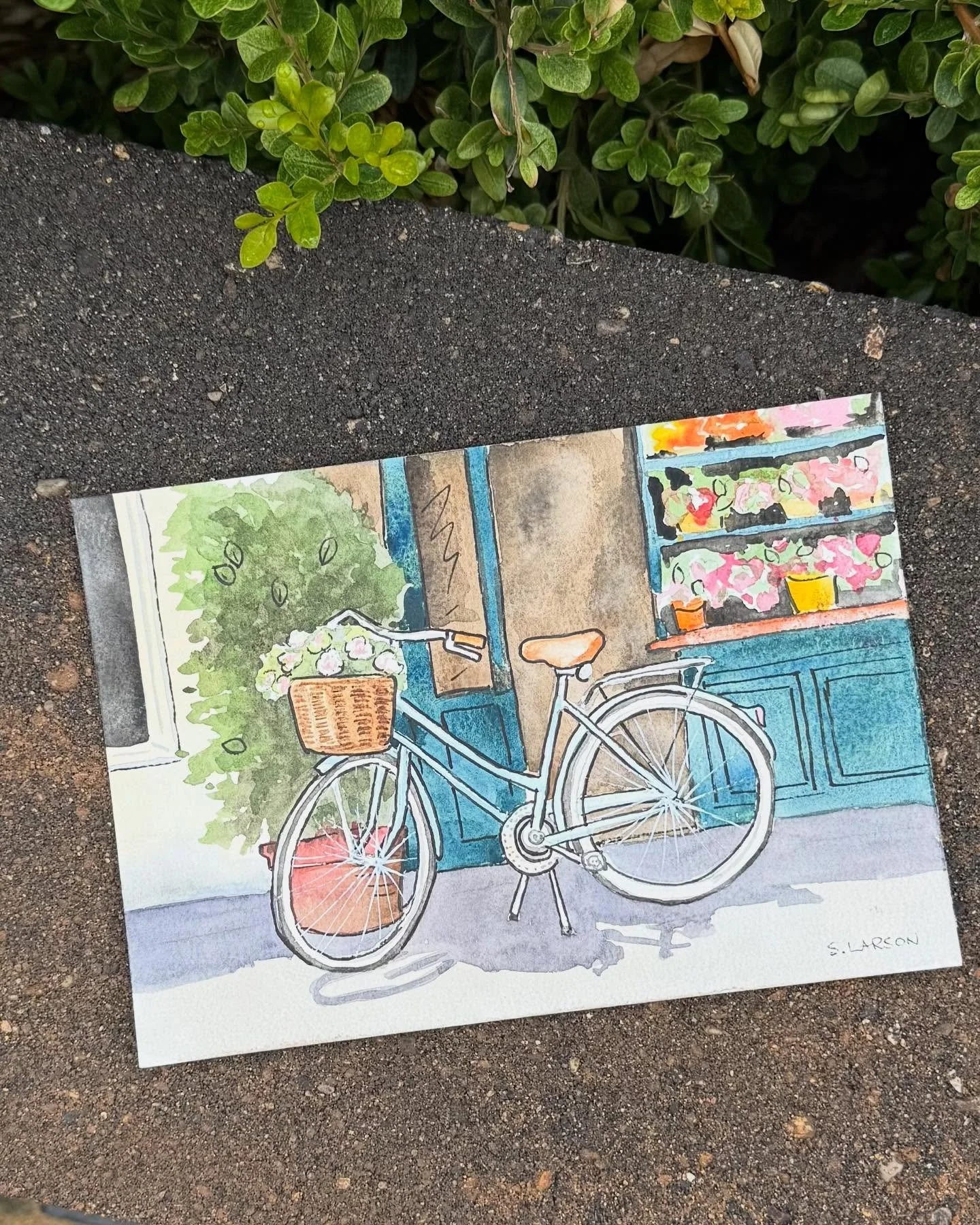 What a fun little painting for Thursday Things! I hadn&rsquo;t planned on painting the background, but you all know me better than that. 🤣 
.
.
.
#onlinewatercolorclass #thursdays #thursdaythingswatercolor