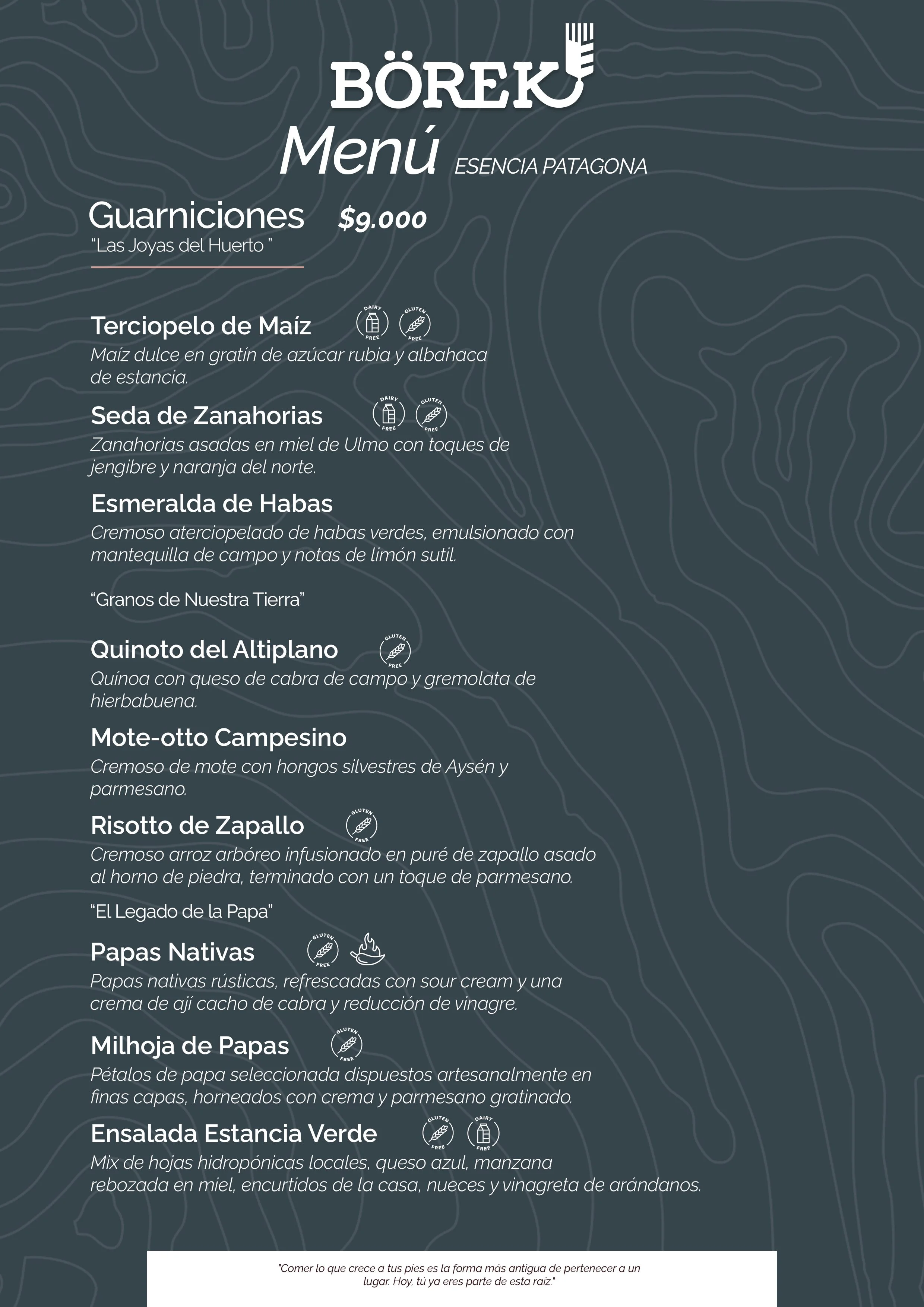 MENU BOREK PAG3 ESPAÑOL 2.jpg