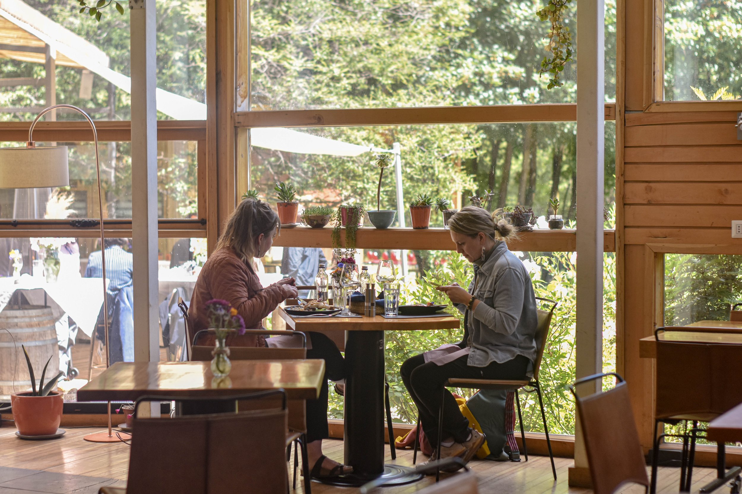 Dos mujeres sentadas en una mesa de madera en un restaurante, usando sus teléfonos, con plantas en macetas en el fondo y grandes ventanas de madera que dejan ver vegetación exterior.