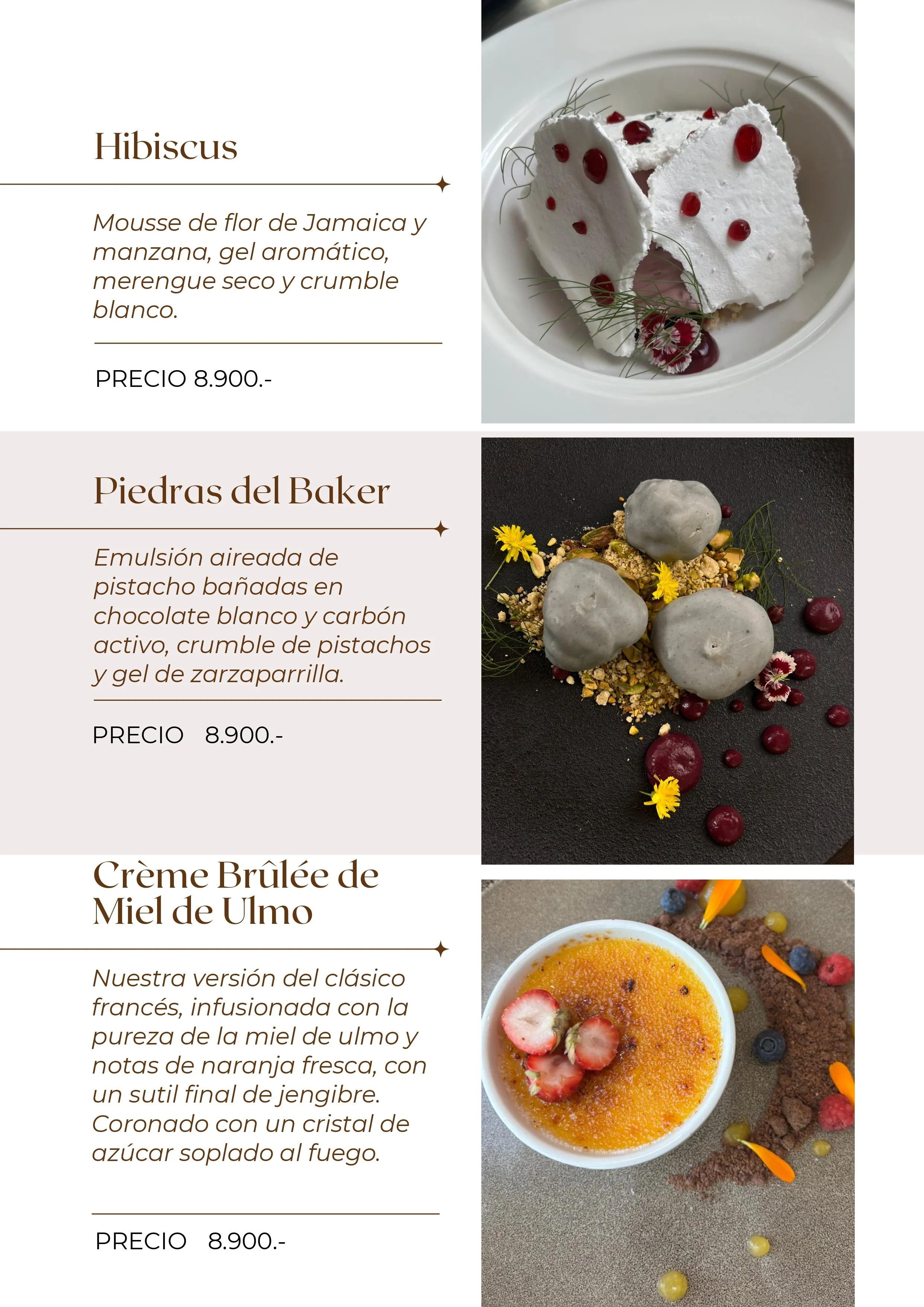 vitrina virtual postres borek_pages-to-jpg-0006.jpg