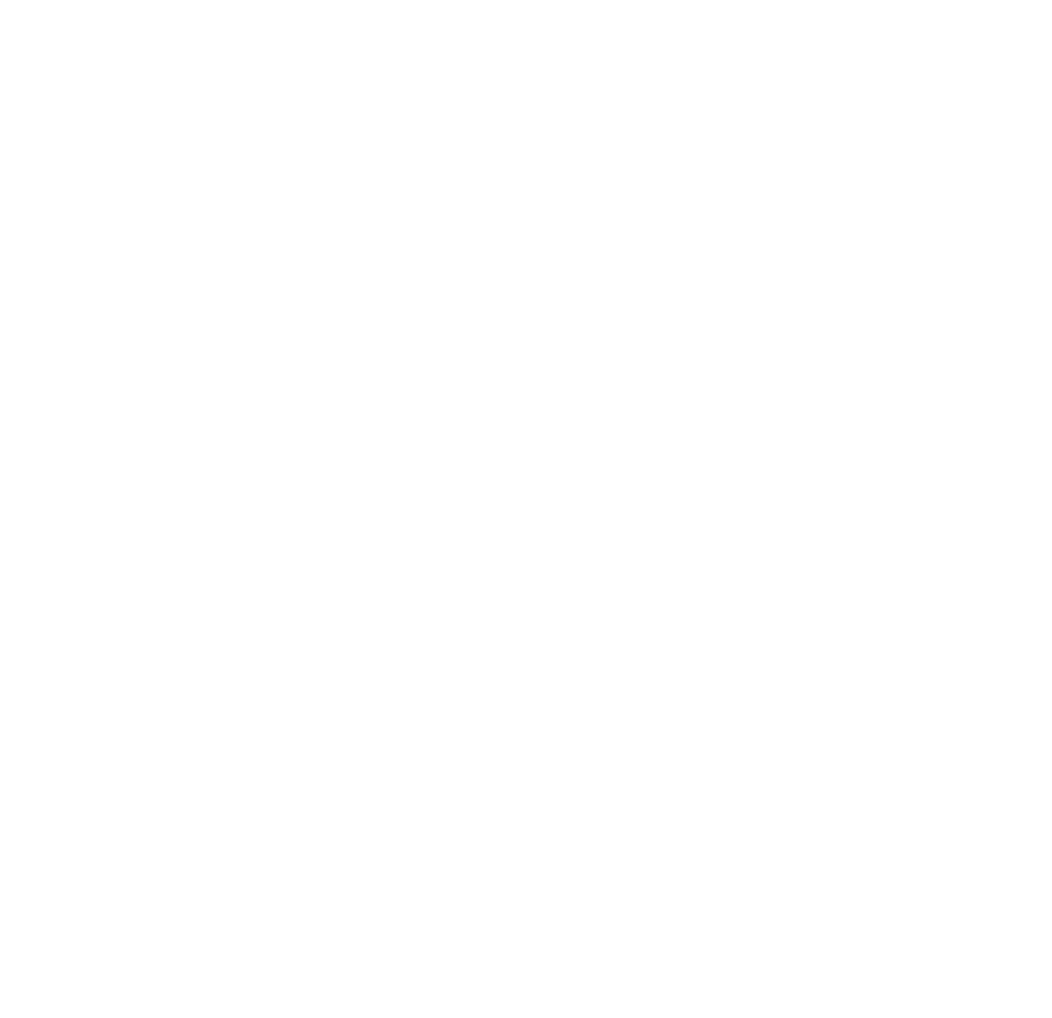 Flownetic MTB Skills