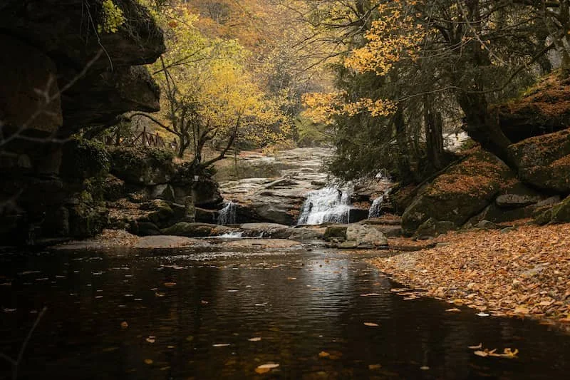 A small waterfall on a river