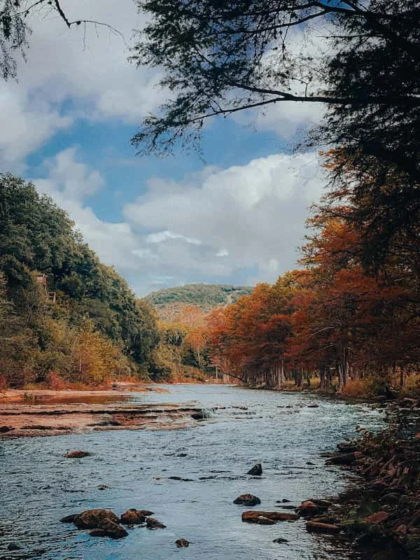 A river in the wilderness