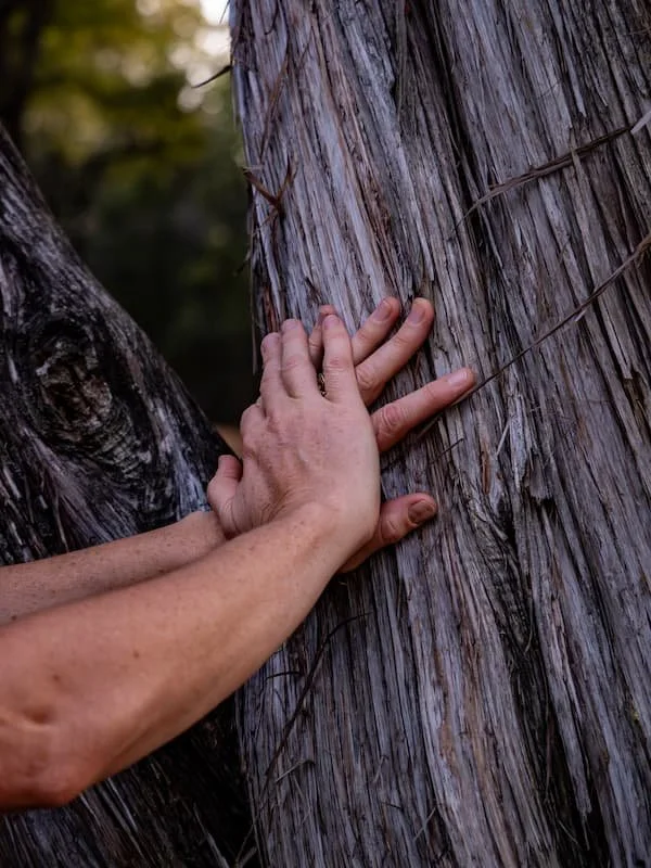 hands on a tree