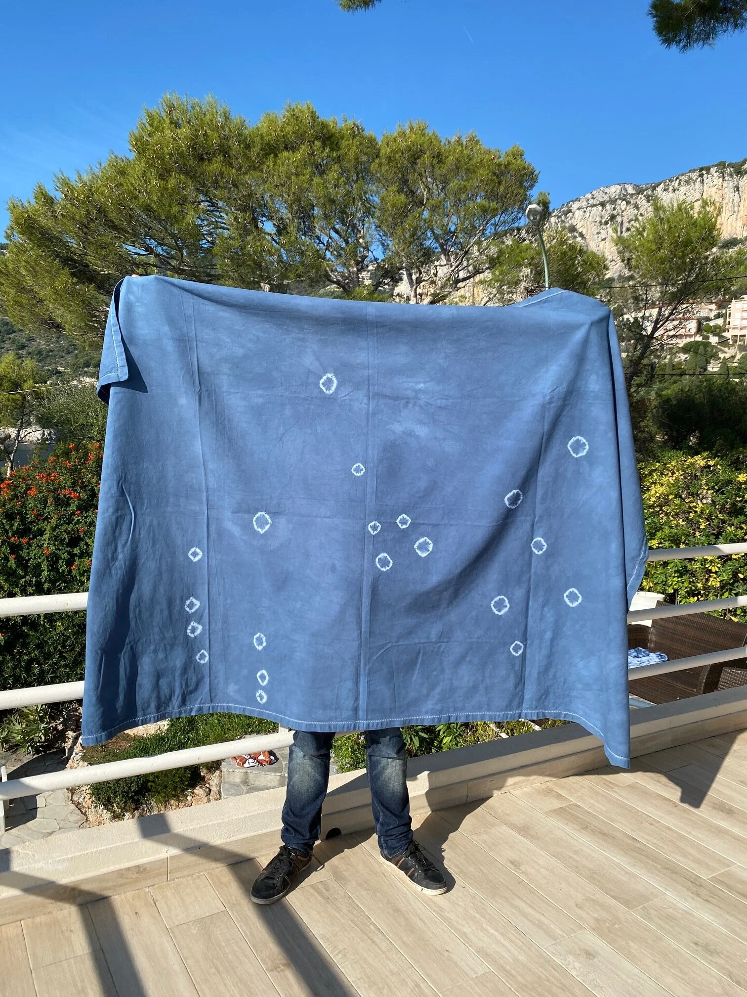 BF40E635-81CD-40AB-937E-EED5B6CC6036