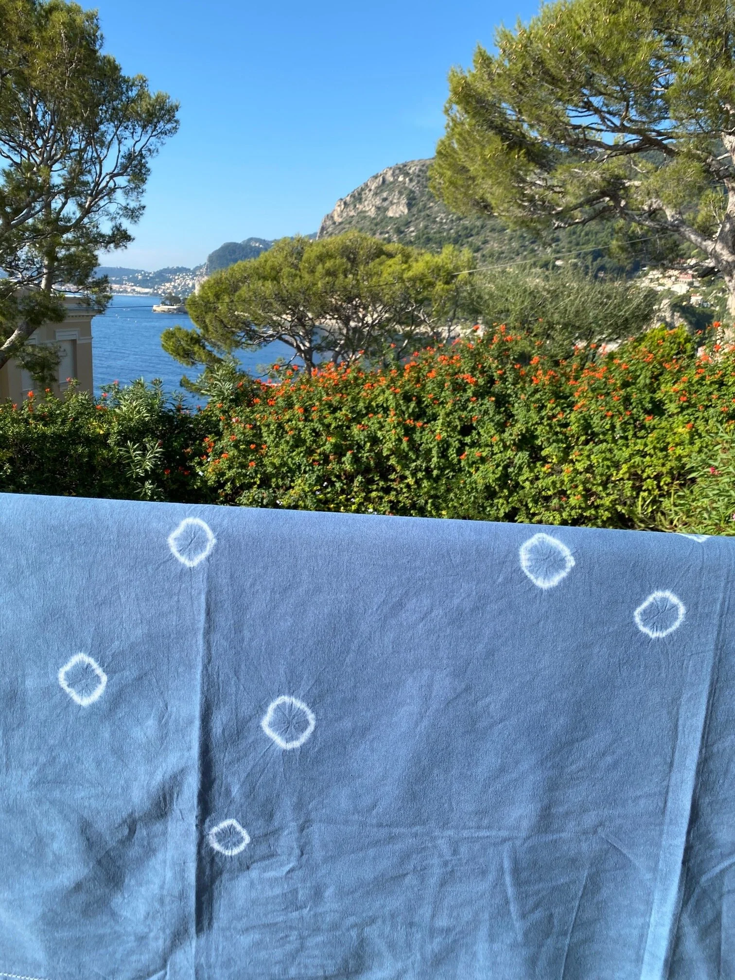 6308D74D-0669-47FA-89BB-834C00710F27