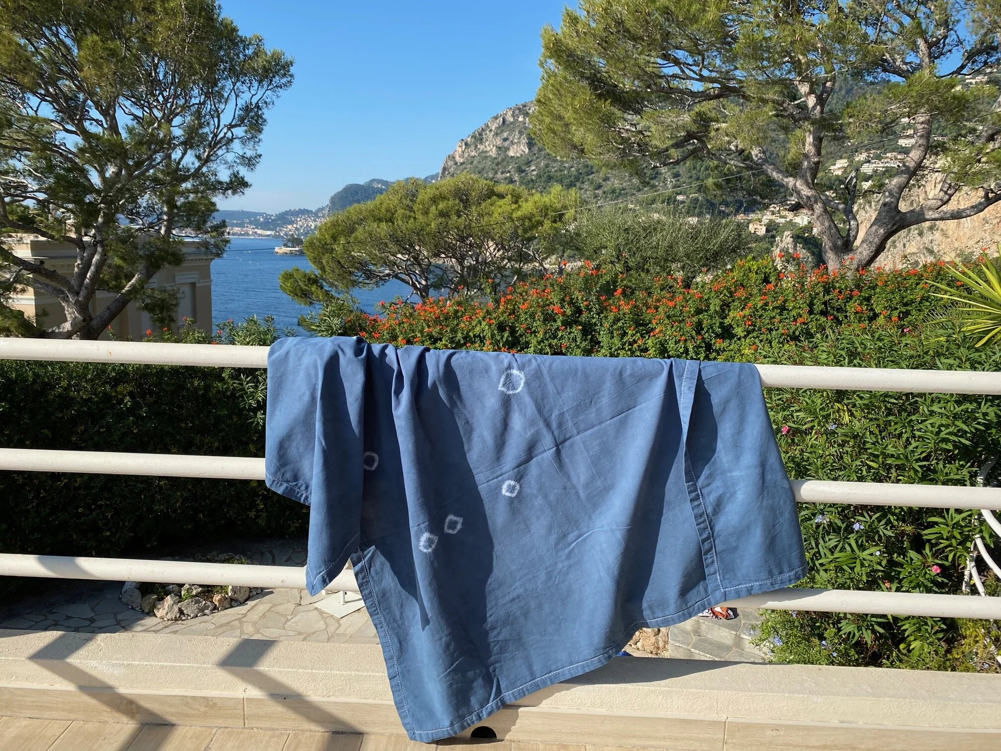 BA72E773-6701-4E03-9FED-F9E8BB202672