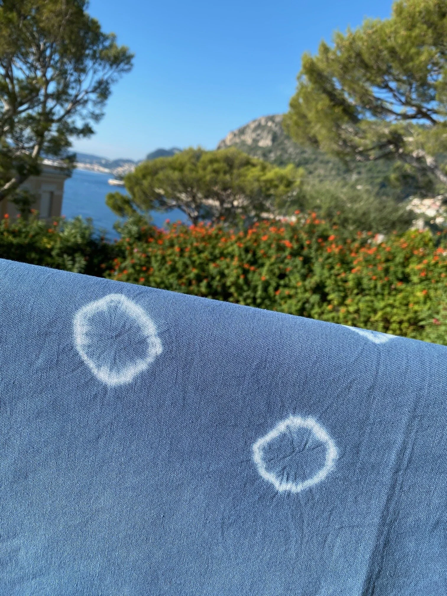 01B6FC15-DC9A-4B8D-B463-545CF1466AB0