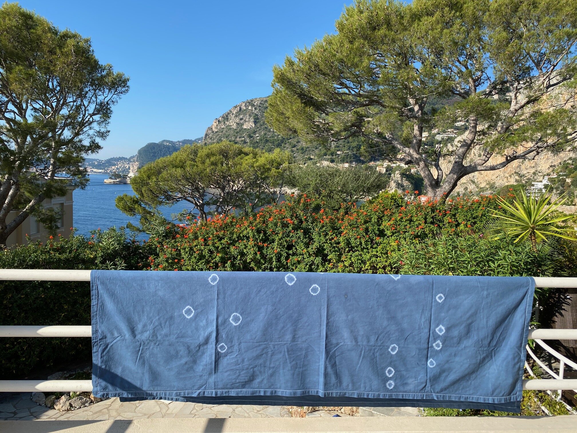 9D0A4352-EAA0-4335-B448-605202507464