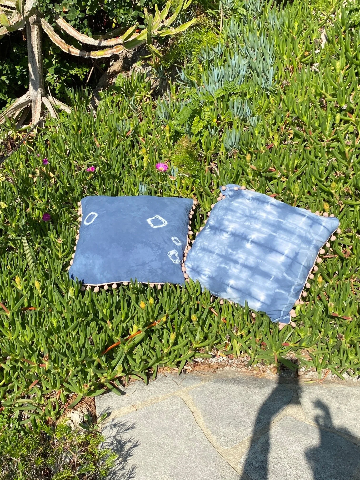 22DE1A73-5BD4-4D19-B359-7EB84378DE9F