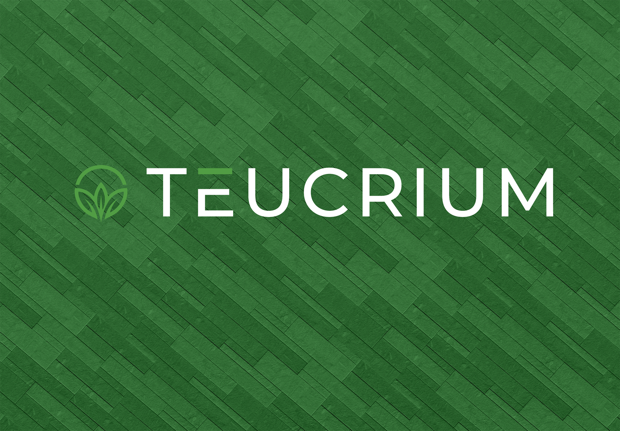 Green geometric background with the word 'TEUCHUM' and a leaf logo.