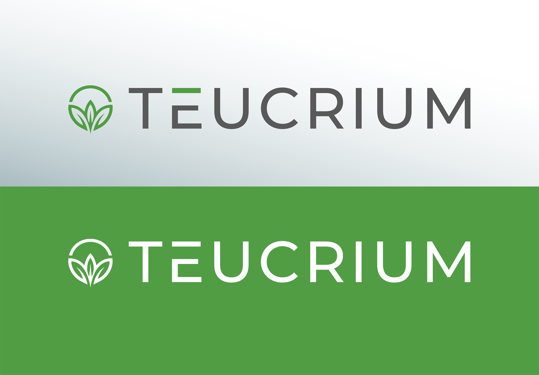 The image features a logo with a green and gray color scheme. It includes an abstract symbol resembling a leaf or plant within a circular outline, with the word "TŒCRUM" written next to it in uppercase letters.