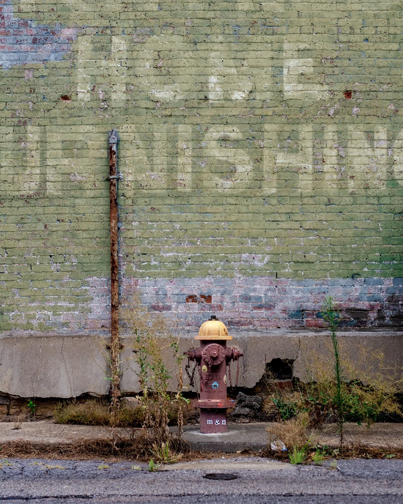 Ghost sign that says, "Home Furnishings," on a brick wall with a fire hydrant in the foreground.
