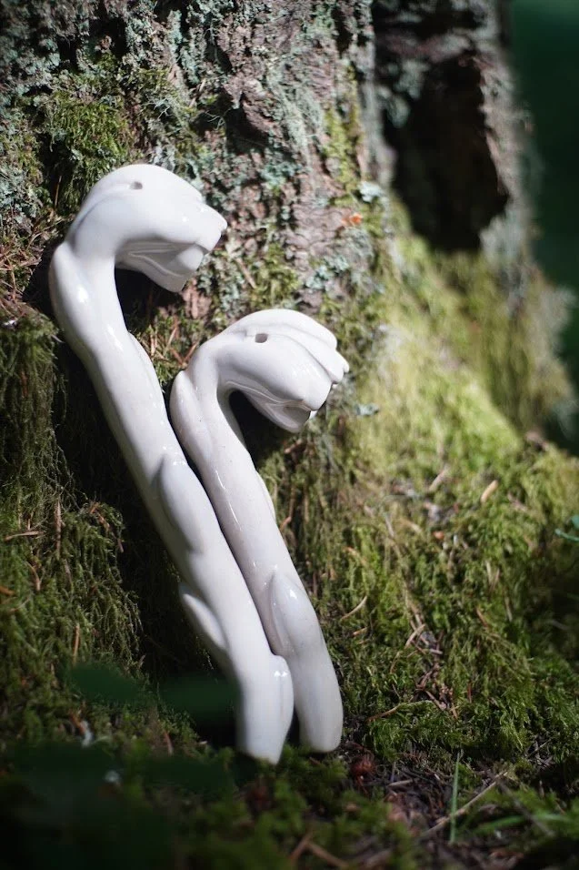 ghost pipe.JPG