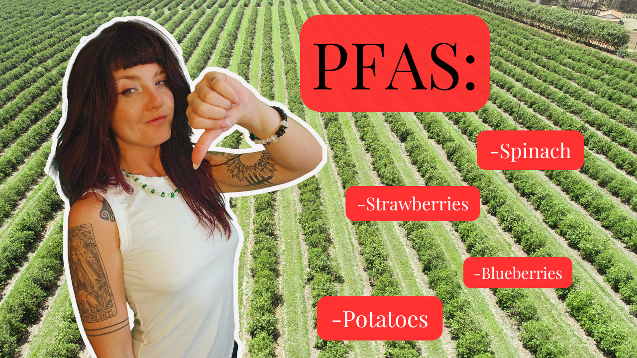 202: Juicy News| Forever Chemicals are now Safe to Spray on Crops