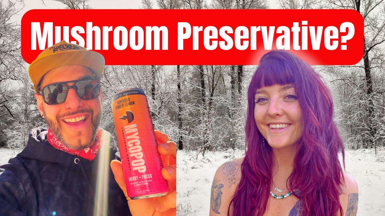 213: Why this Mushroom Drink is Changing Everything Ft. Mycopop