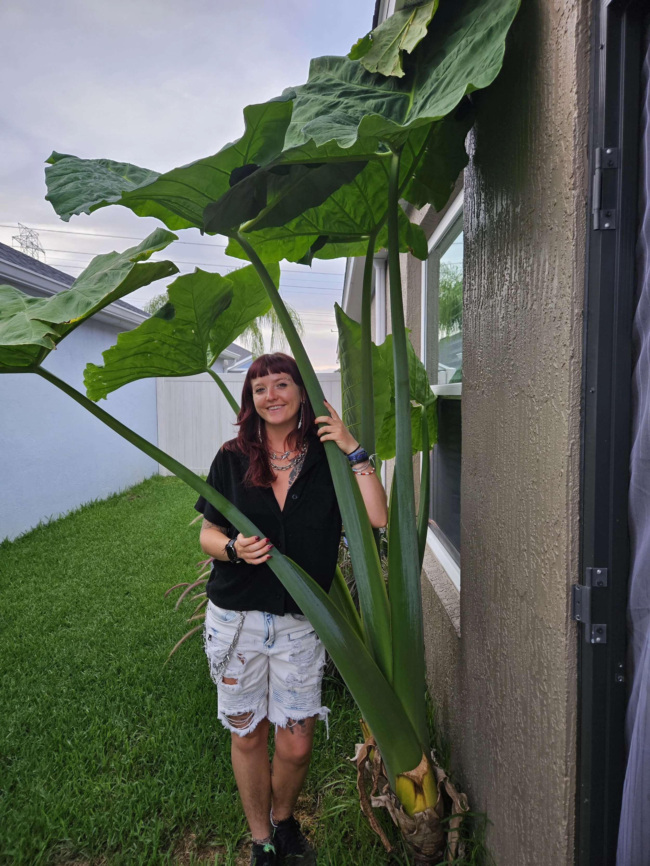 215: Top 5 Mushrooms for Lowering Inflammation