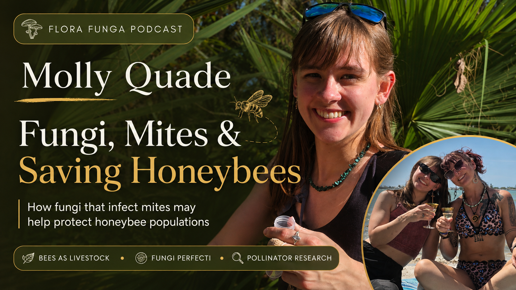 221: INPERSON: How Fungi Are Being Used to Treat Dying Bees!