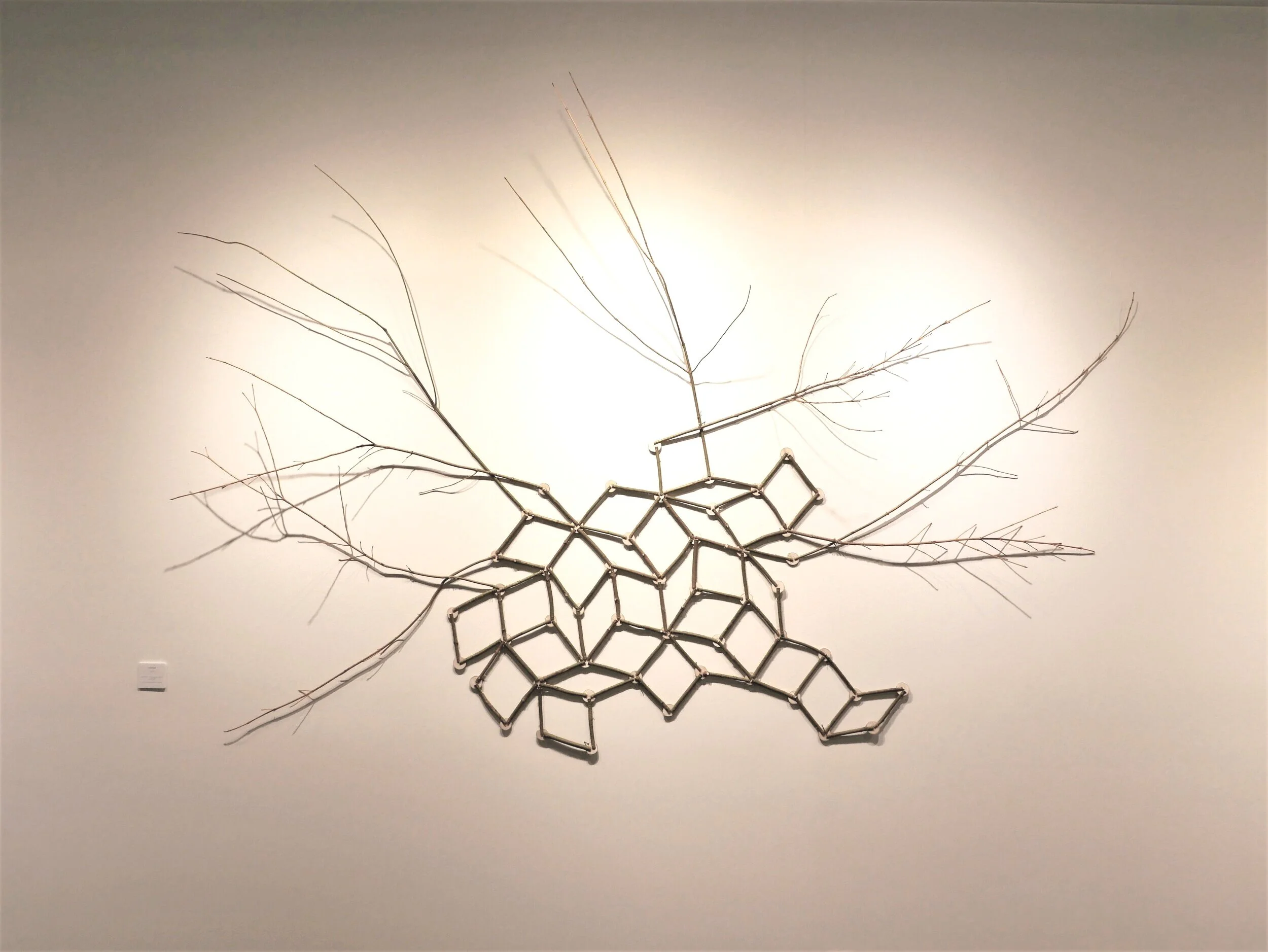 Pond Penrose 4