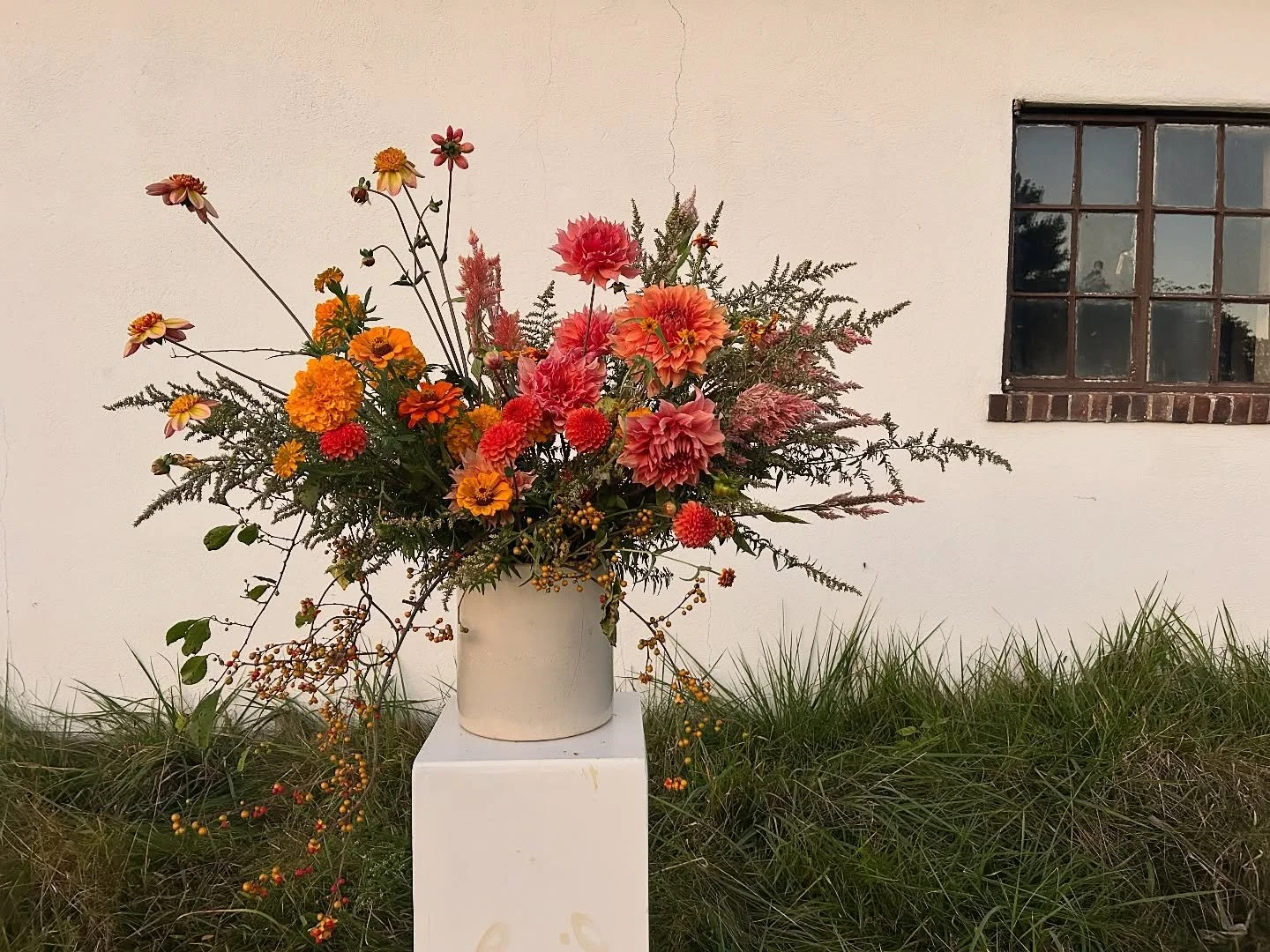 Orange 🍊 out of ROYBIV 
&bull;
&bull;
A color a day to keep the frost away!