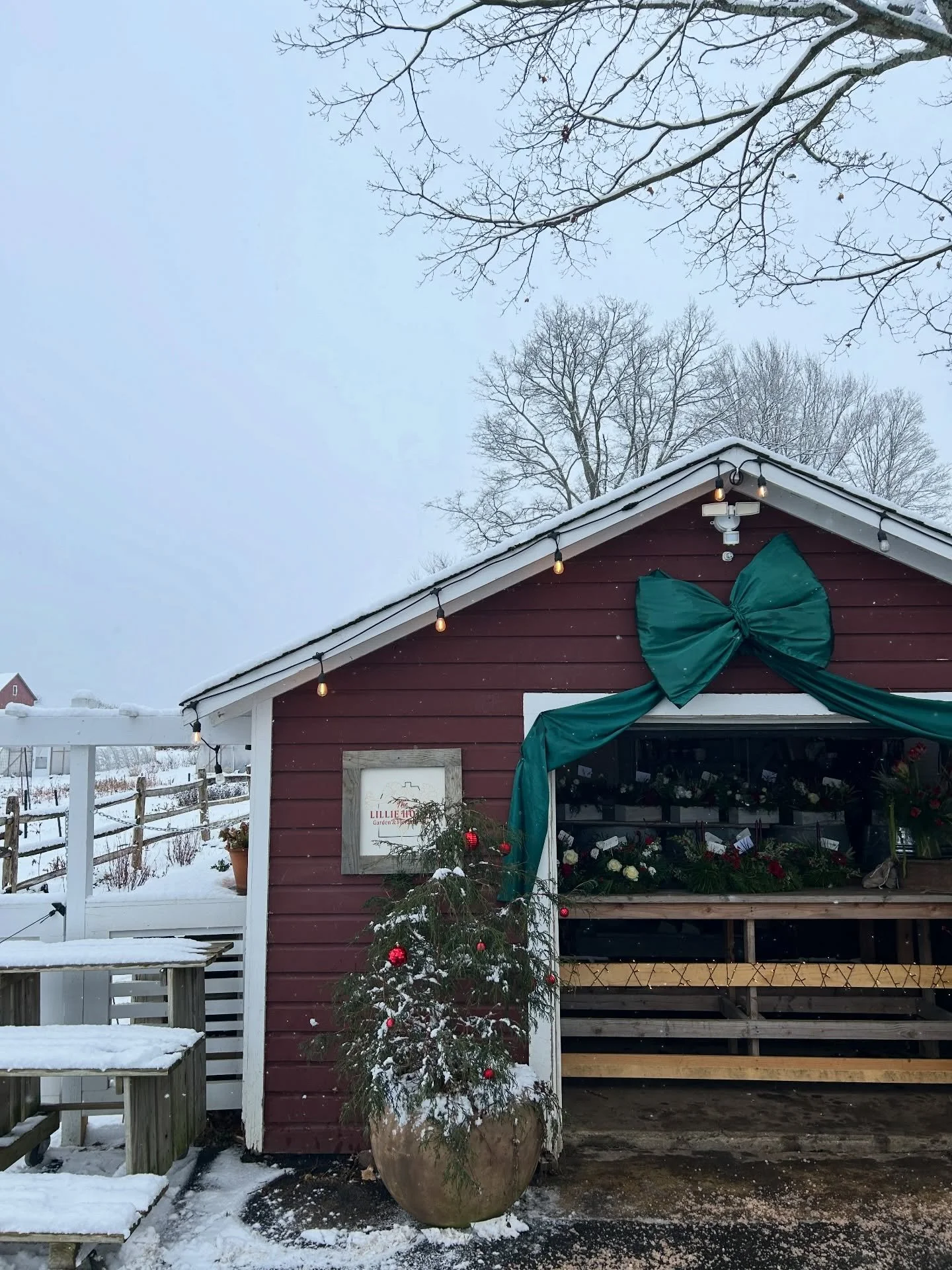 As we head into our last farmstand of the year, thank you! Truly. Seeing you at the farmstand week after week doesn&rsquo;t go unnoticed. 

As farmers, we show up every single day, with early mornings and long hours in rain or shine, and knowing you 