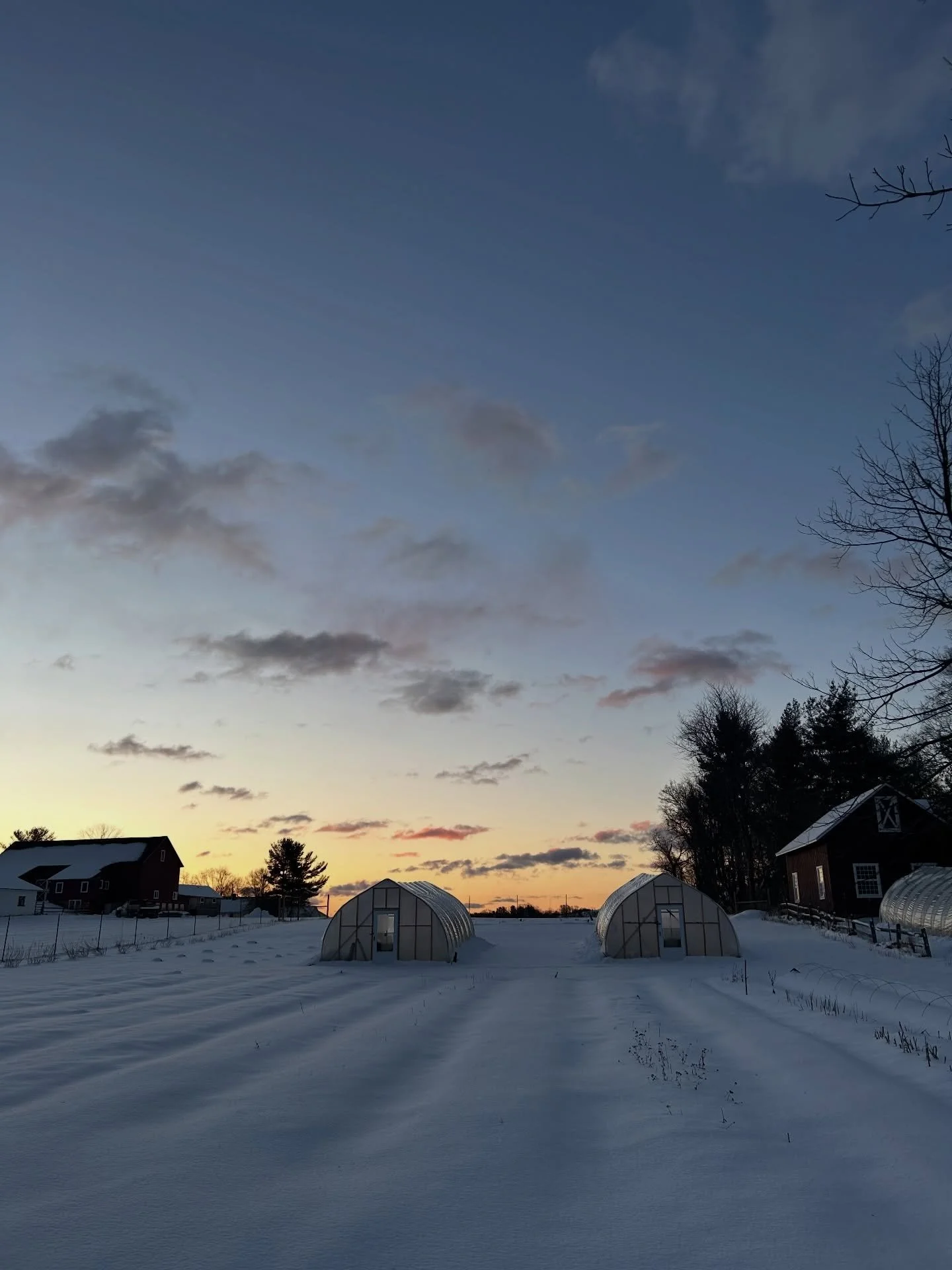 This winter has been a real winter. We&rsquo;re not here to swear it off, we&rsquo;re embracing it. Cold mornings, frozen ground, and all.

Behind the scenes, our minds are on spring as we presprout thousands of anemones and ranunculus, sort through 
