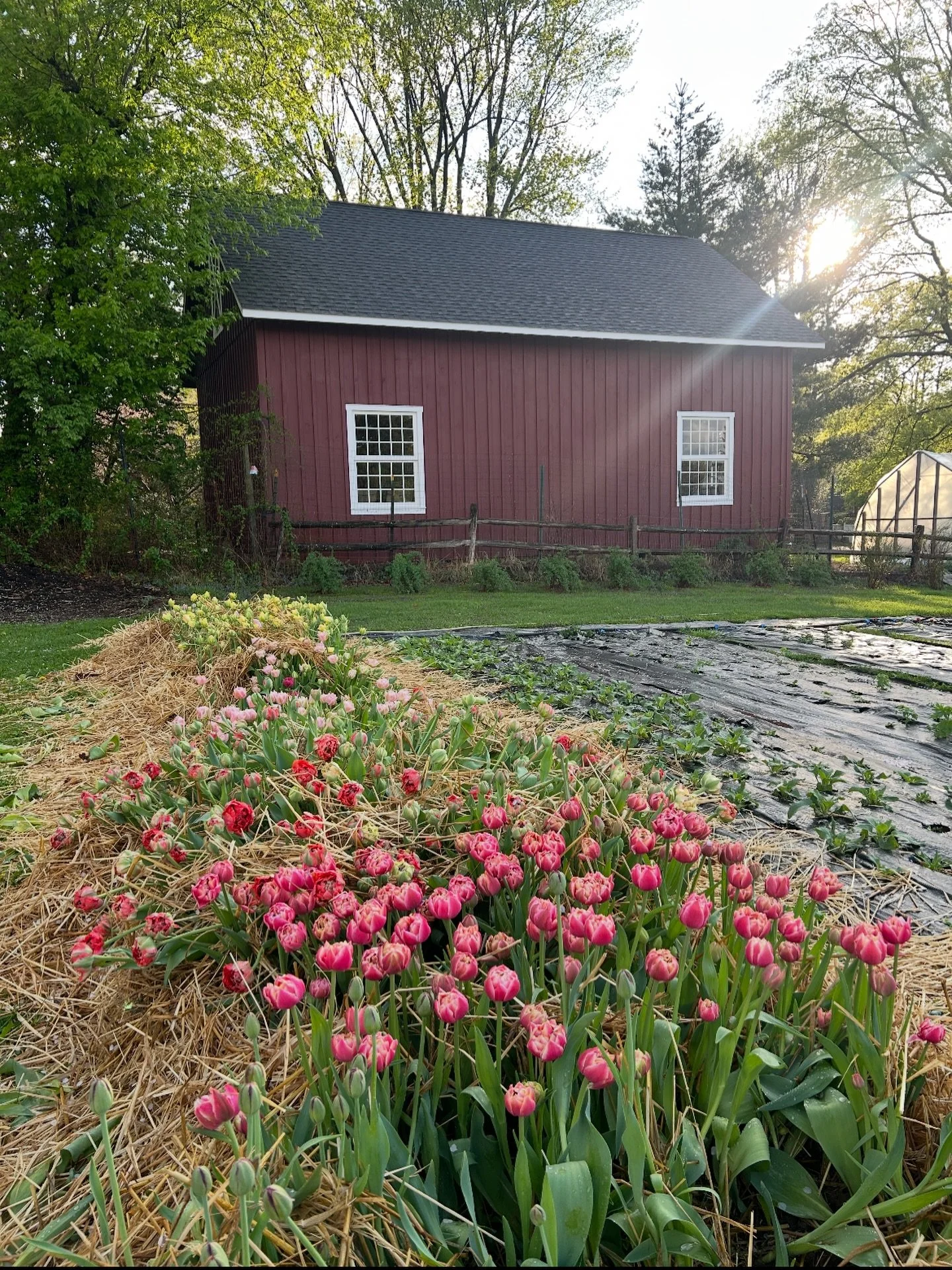 Reminder to self. 
This view in exactly two months.
The snow will melt, we&rsquo;re not behind
&hellip;everything&rsquo;s fine. 🧘&zwj;♀️