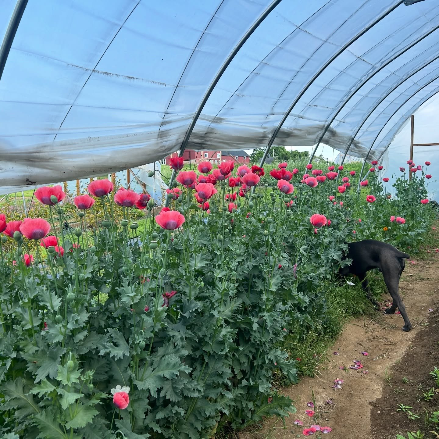 Mentally, head in the ✿✿✿ ~ Seeding away for our biggest season yet!