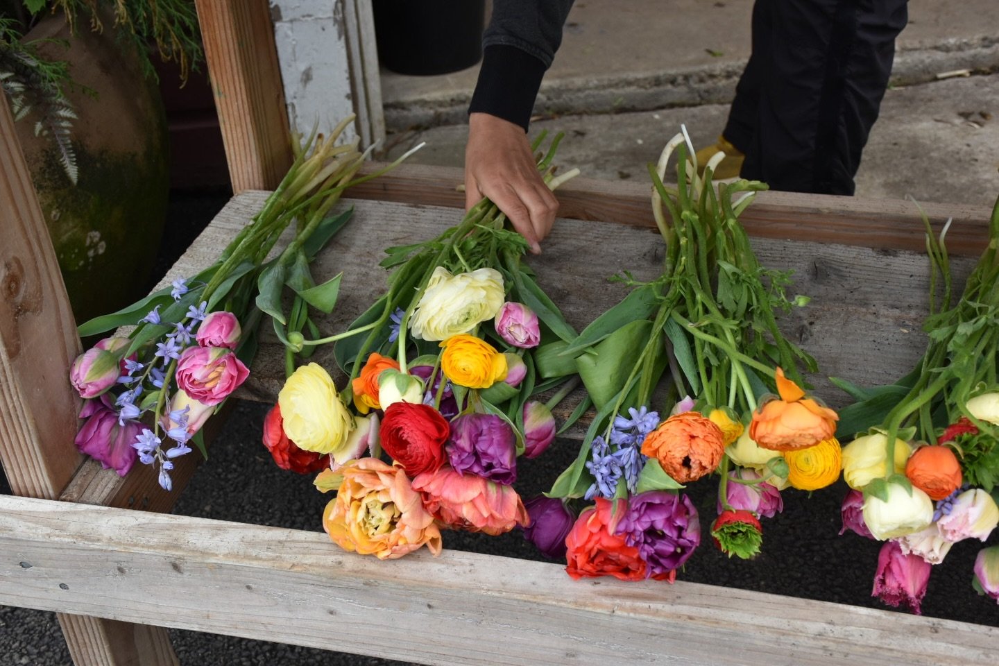 Craving color today 🌈
From the archives, Spring Flower Shares- 4.30.24