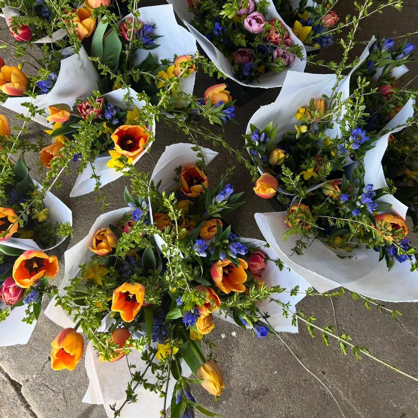 All bunched up and ready for you at our flower stand today! 
&bull;
&bull;
Cash, Zelle + Venmo
&bull;
&bull;
📍 59 E Main St. in Mendham ( between Kings + The Black Horse ) Don&rsquo;t be afraid to pull in to park behind our little red house. You&rsq