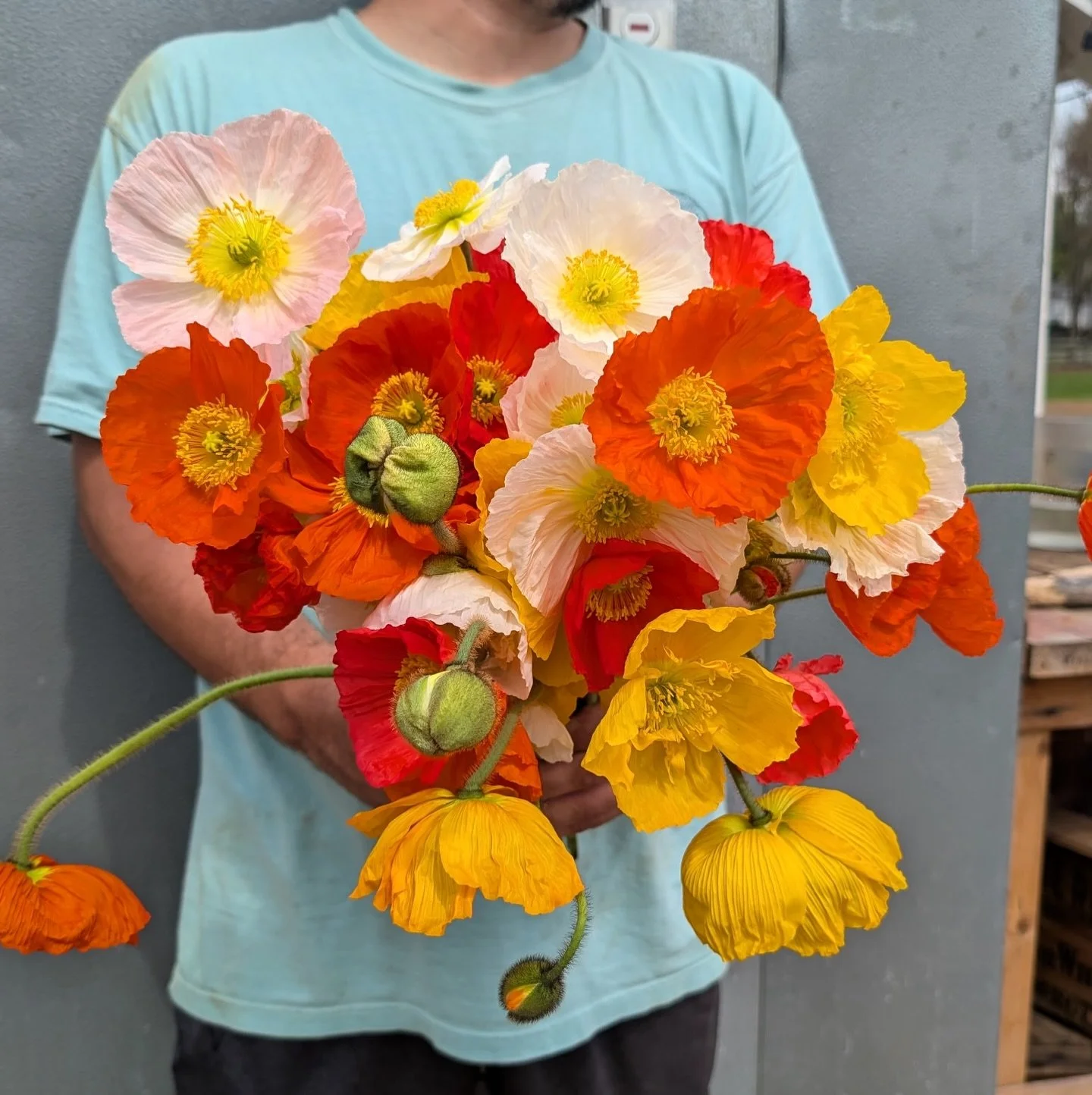 We&rsquo;re finally hitting our stride over here 🌈🌈🌈 
Should be a beautiful, full weekend at the flower stand. 
&bull;
Friday-Sunday || 9am-7pm 
&bull;
&bull;
📍 59 E Main St. in Mendham ( between Kings + The Black Horse ) Don&rsquo;t be afraid to