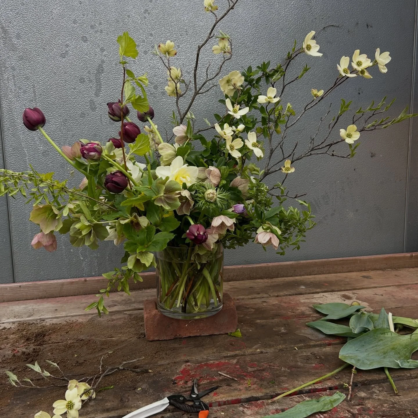 A whole lotta dirt for a ton of georgeous flowers ✿
&bull;
&bull;
Thank you Mother Nature, happy Earth Day !🌎 🌍🌍